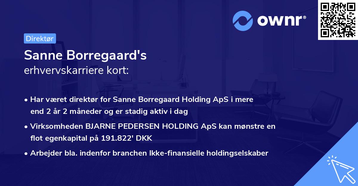 Sanne Borregaard's erhvervskarriere kort