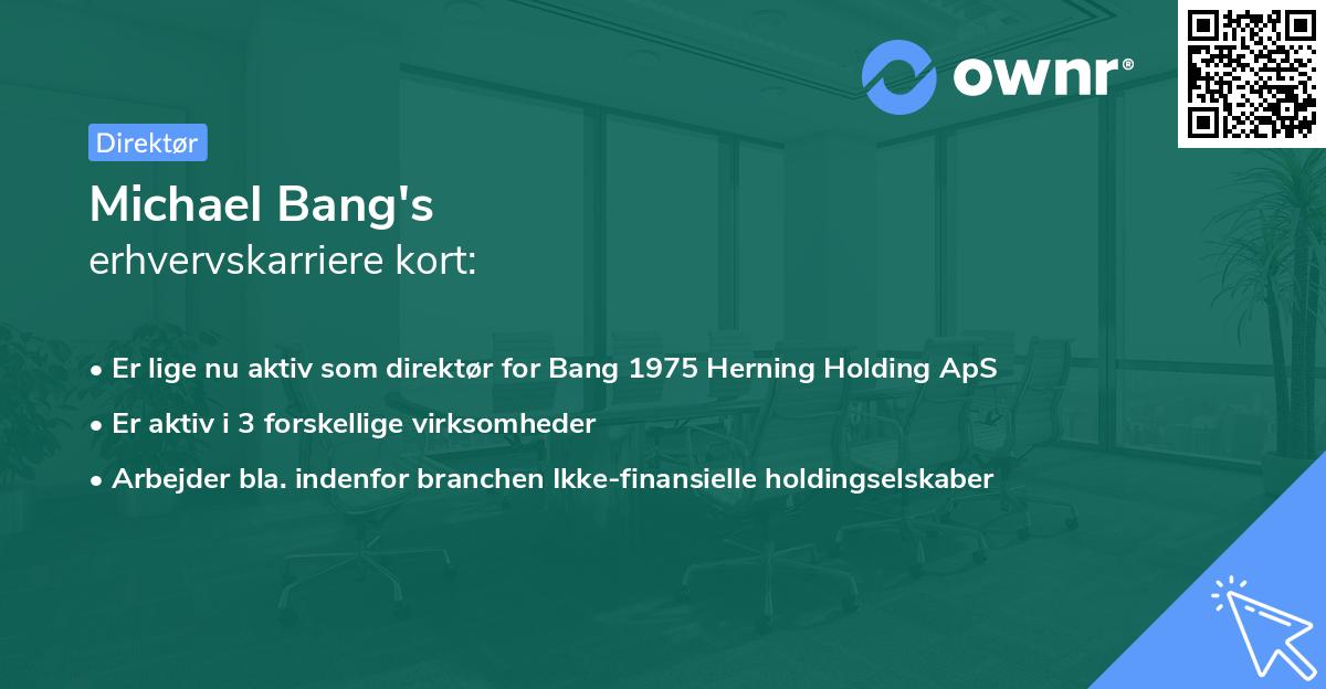 Michael Bang's erhvervskarriere kort