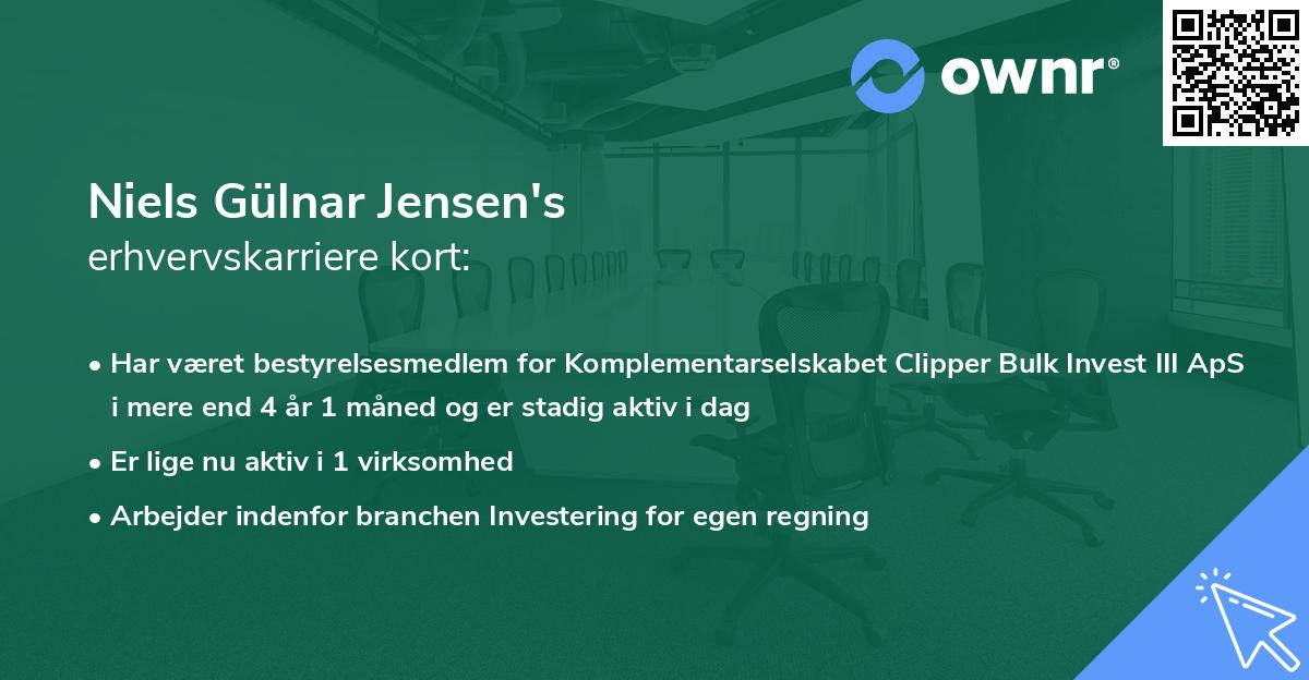 Niels Gülnar Jensen's erhvervskarriere kort