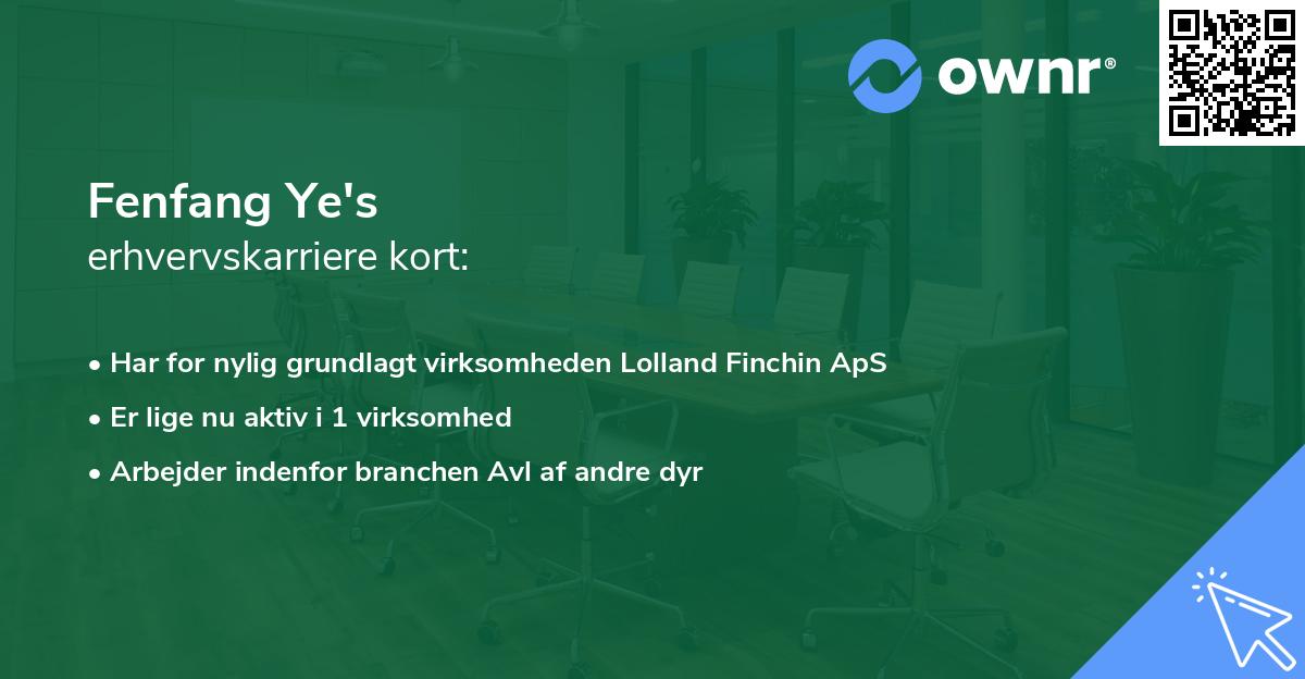 Fenfang Ye's erhvervskarriere kort