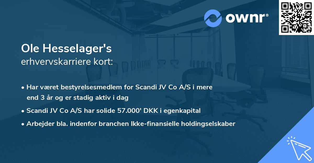 Ole Hesselager's erhvervskarriere kort