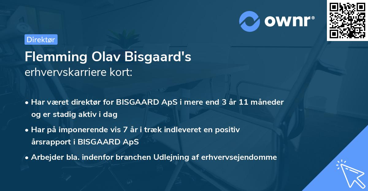 Flemming Olav Bisgaard's erhvervskarriere kort