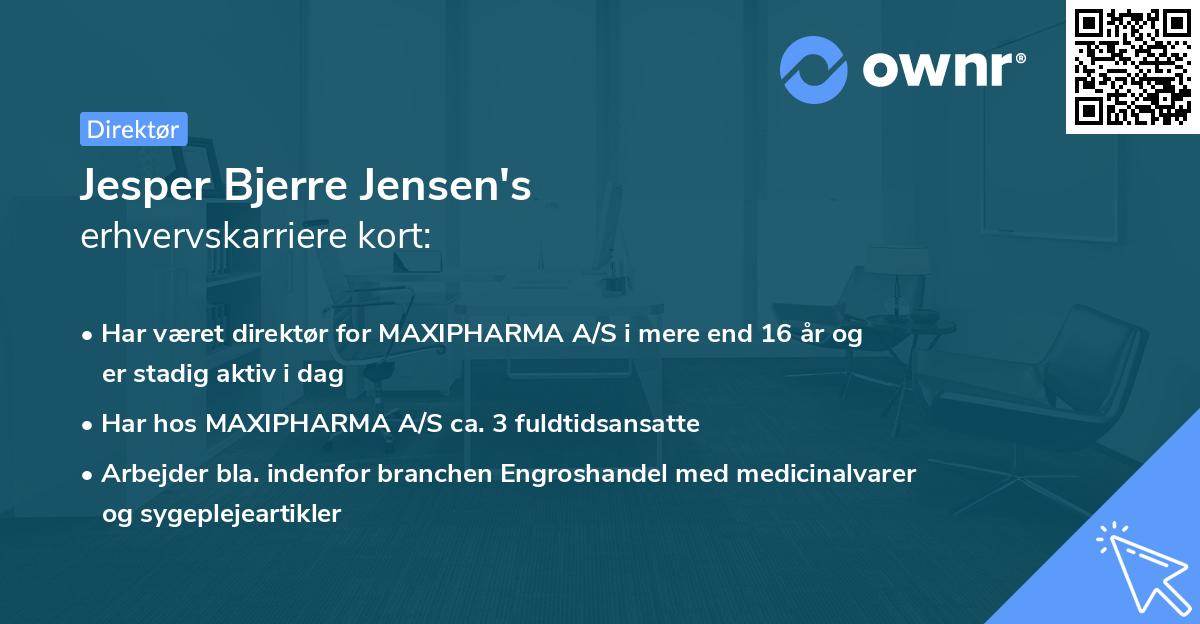 Jesper Bjerre Jensen's erhvervskarriere kort