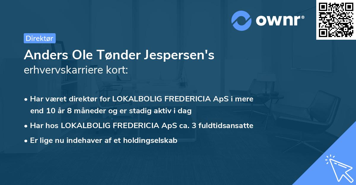 Anders Ole Tønder Jespersen's erhvervskarriere kort