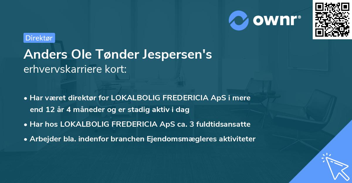 Anders Ole Tønder Jespersen's erhvervskarriere kort