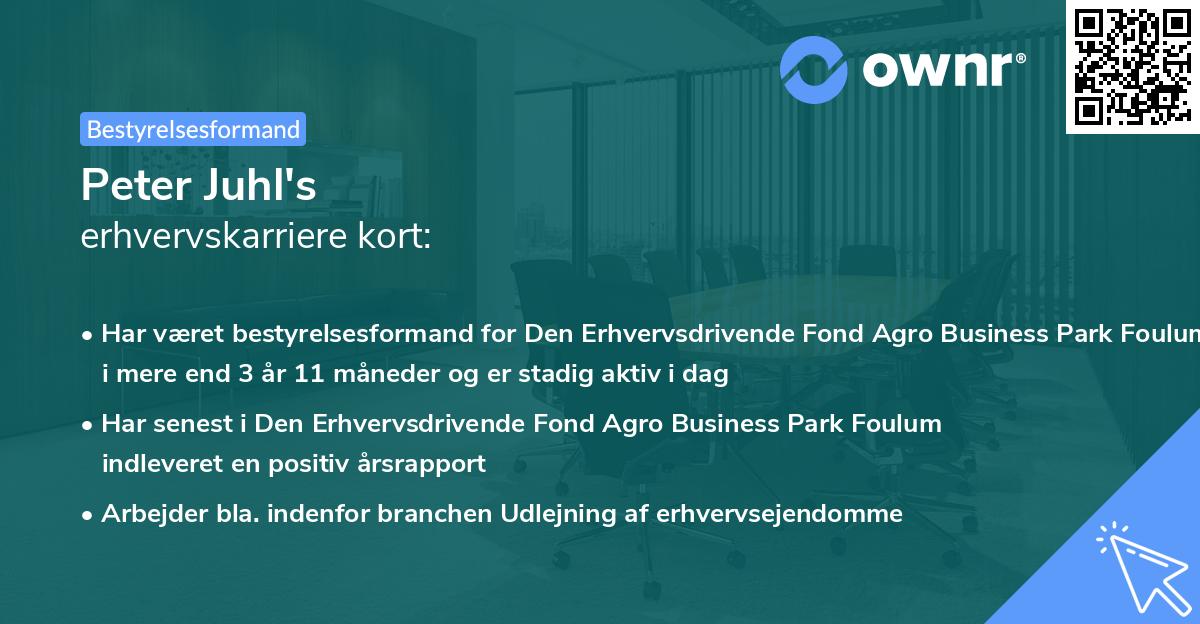 Peter Juhl's erhvervskarriere kort