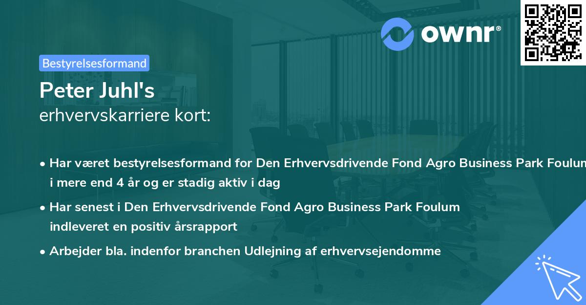 Peter Juhl's erhvervskarriere kort