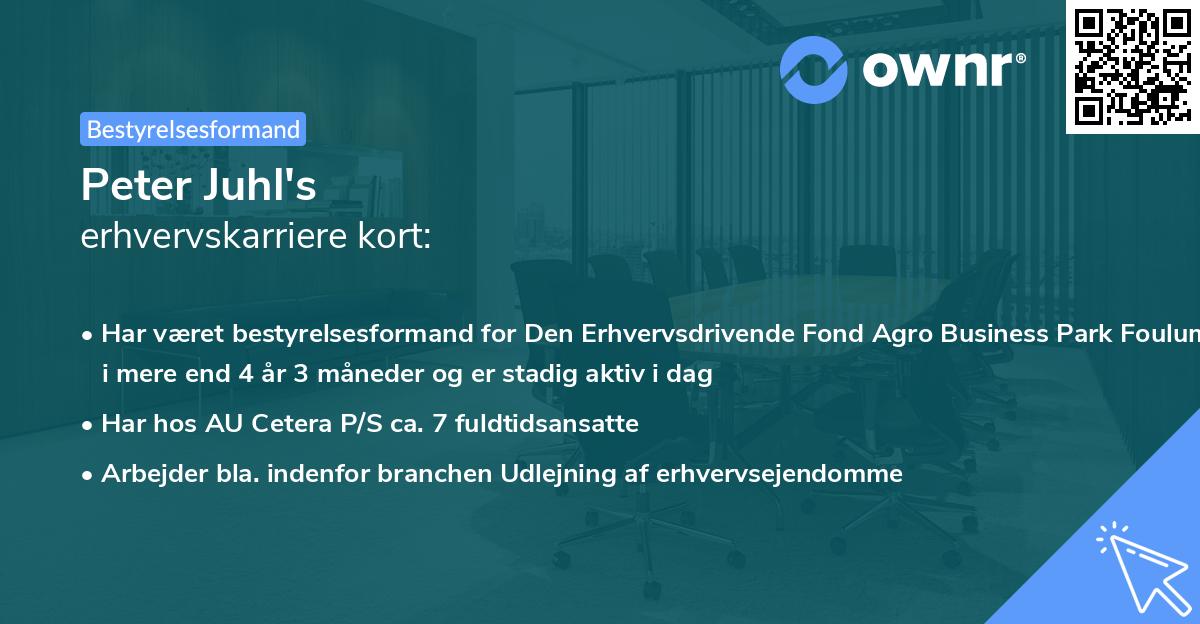 Peter Juhl's erhvervskarriere kort
