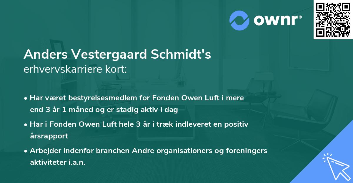 Anders Vestergaard Schmidt's erhvervskarriere kort