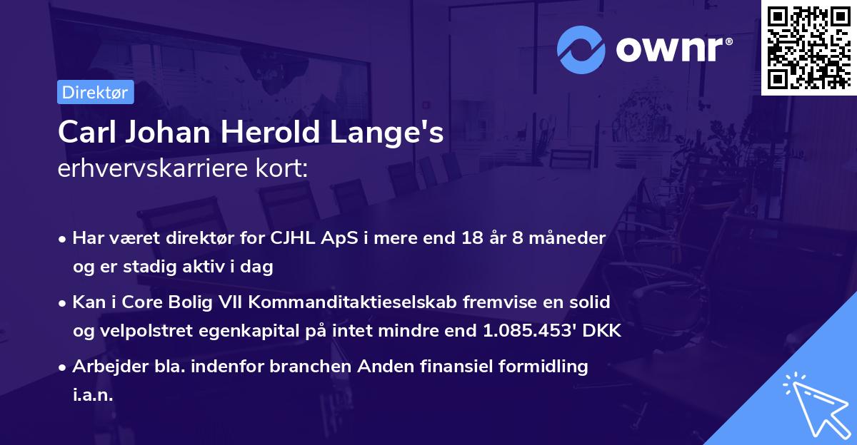 Carl Johan Herold Lange's erhvervskarriere kort