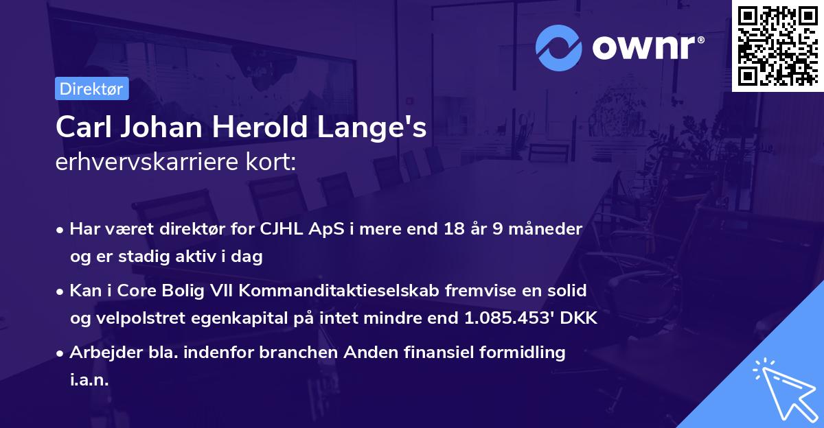 Carl Johan Herold Lange's erhvervskarriere kort