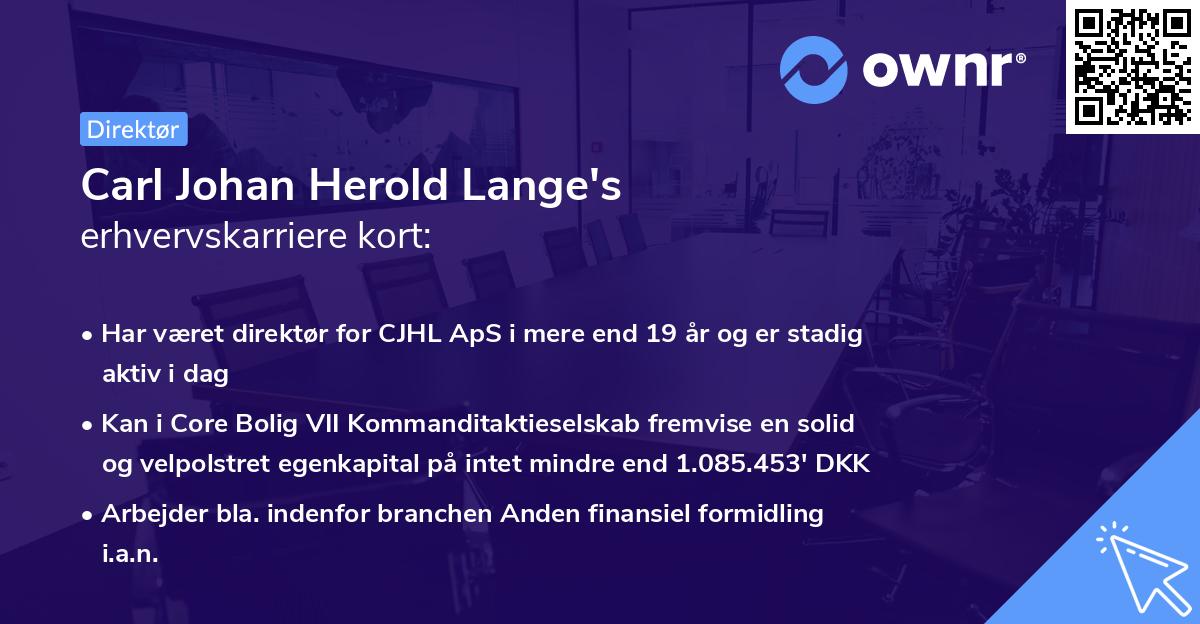 Carl Johan Herold Lange's erhvervskarriere kort
