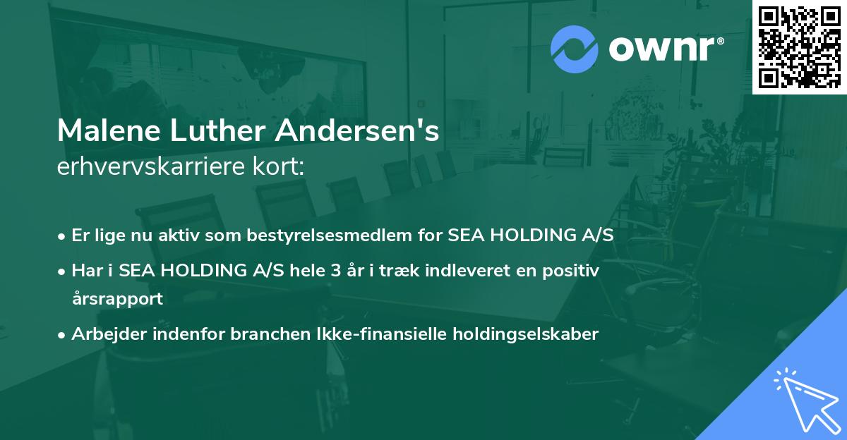 Malene Luther Andersen's erhvervskarriere kort