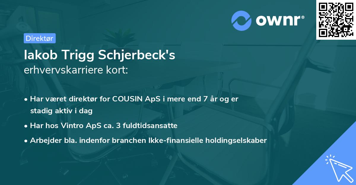 Iakob Trigg Schjerbeck's erhvervskarriere kort