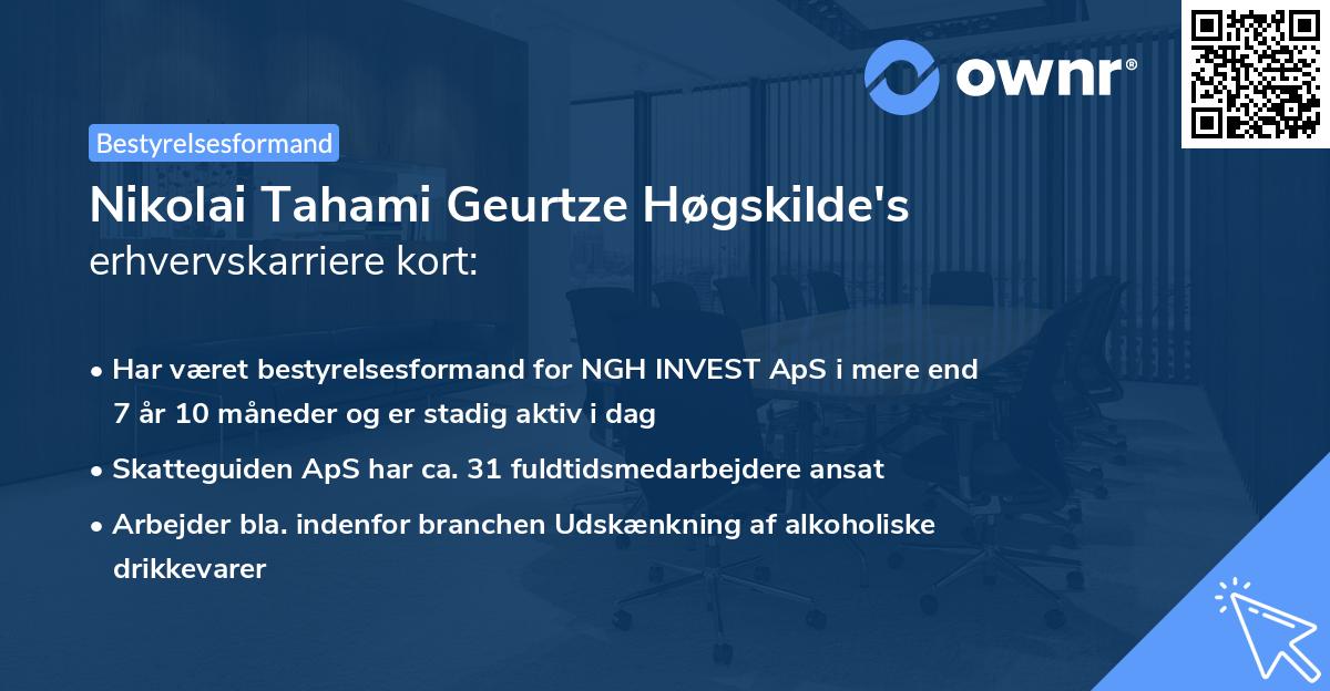 Nikolai Tahami Geurtze Høgskilde's erhvervskarriere kort