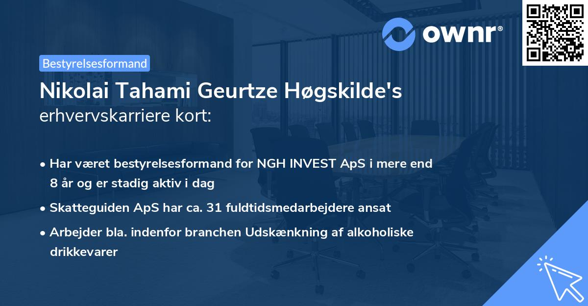 Nikolai Tahami Geurtze Høgskilde's erhvervskarriere kort