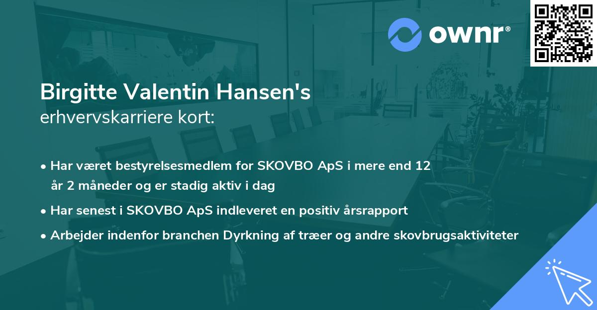 Birgitte Valentin Hansen's erhvervskarriere kort