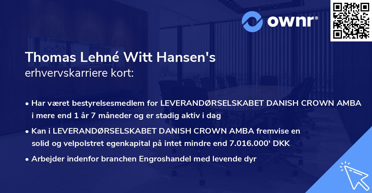 Thomas Lehné Witt Hansen's erhvervskarriere kort