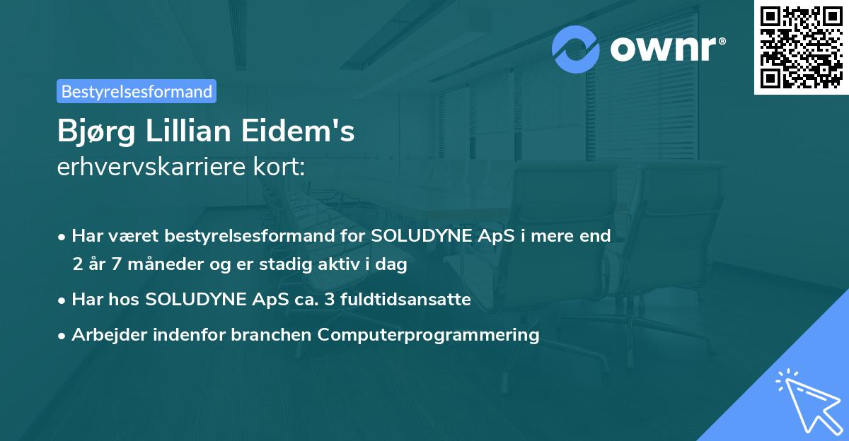 Bjørg Lillian Eidem's erhvervskarriere kort