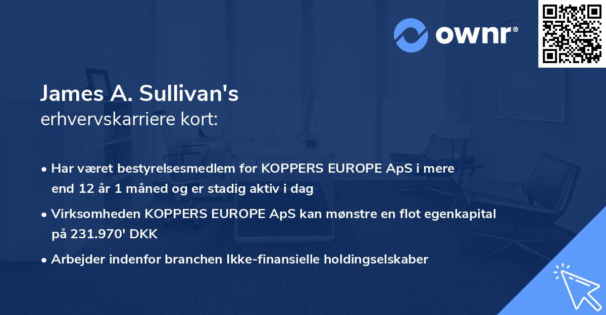James A. Sullivan's erhvervskarriere kort