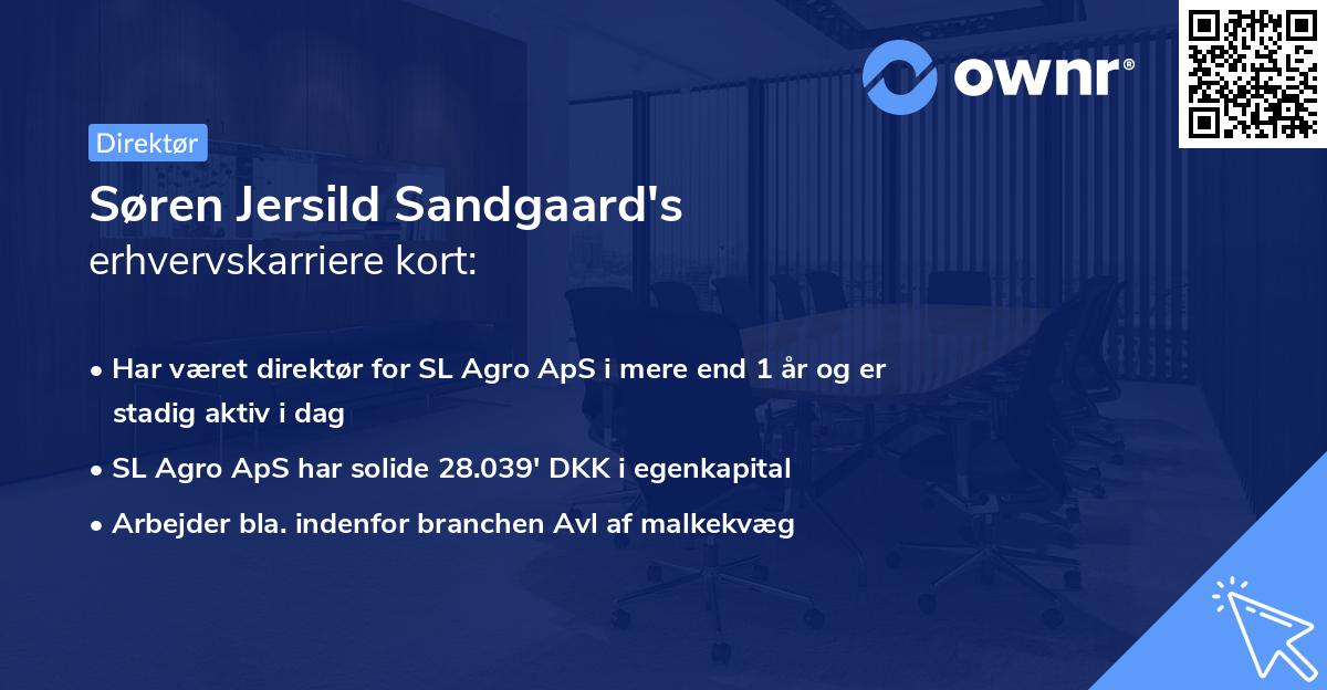 Søren Jersild Sandgaard's erhvervskarriere kort