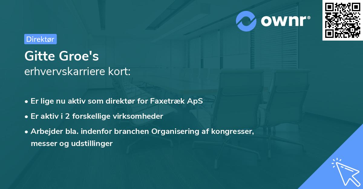 Gitte Groe's erhvervskarriere kort