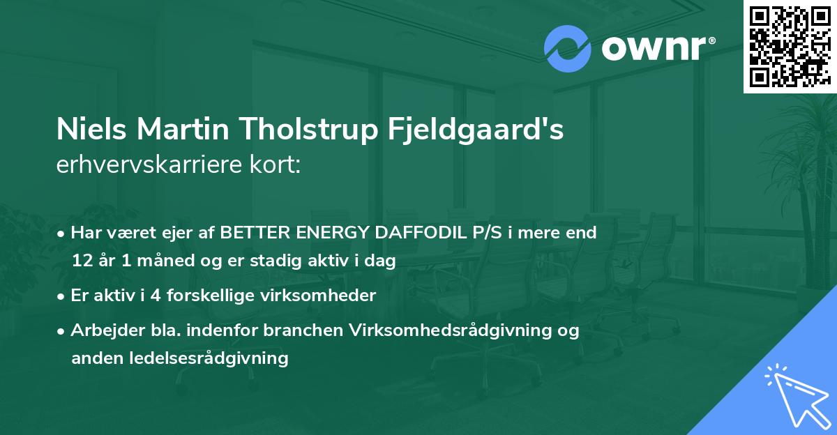 Niels Martin Tholstrup Fjeldgaard's erhvervskarriere kort