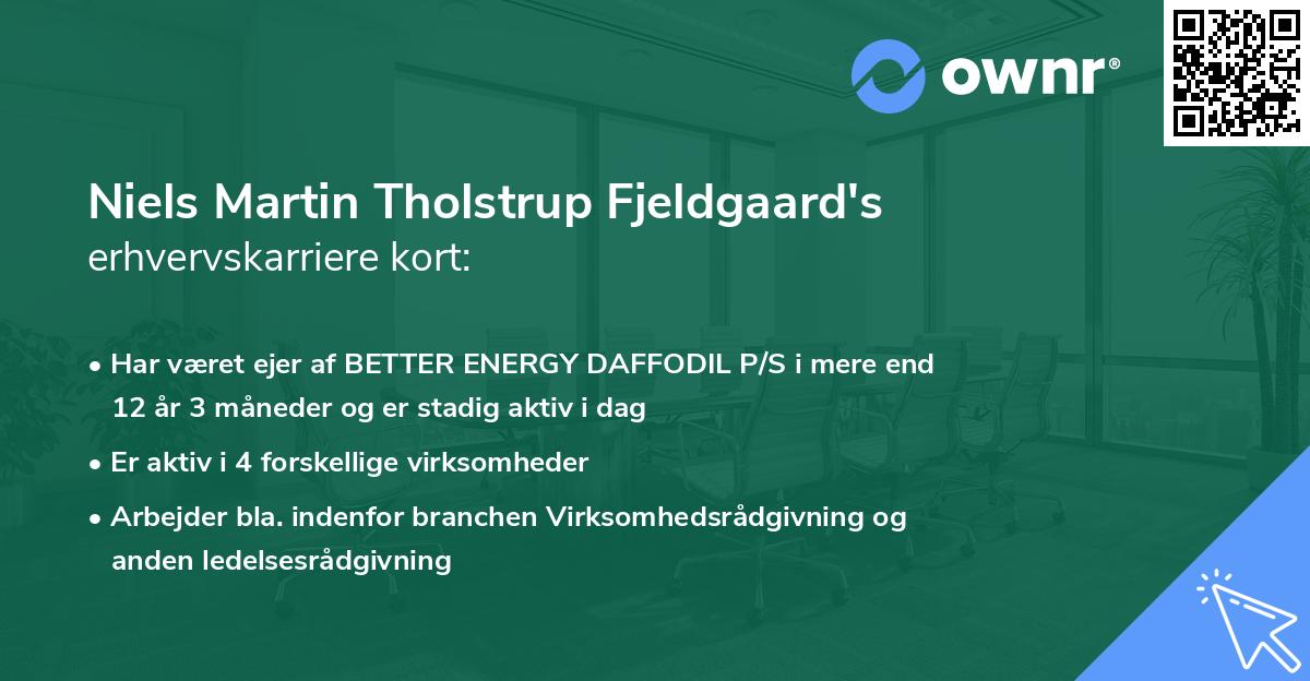 Niels Martin Tholstrup Fjeldgaard's erhvervskarriere kort