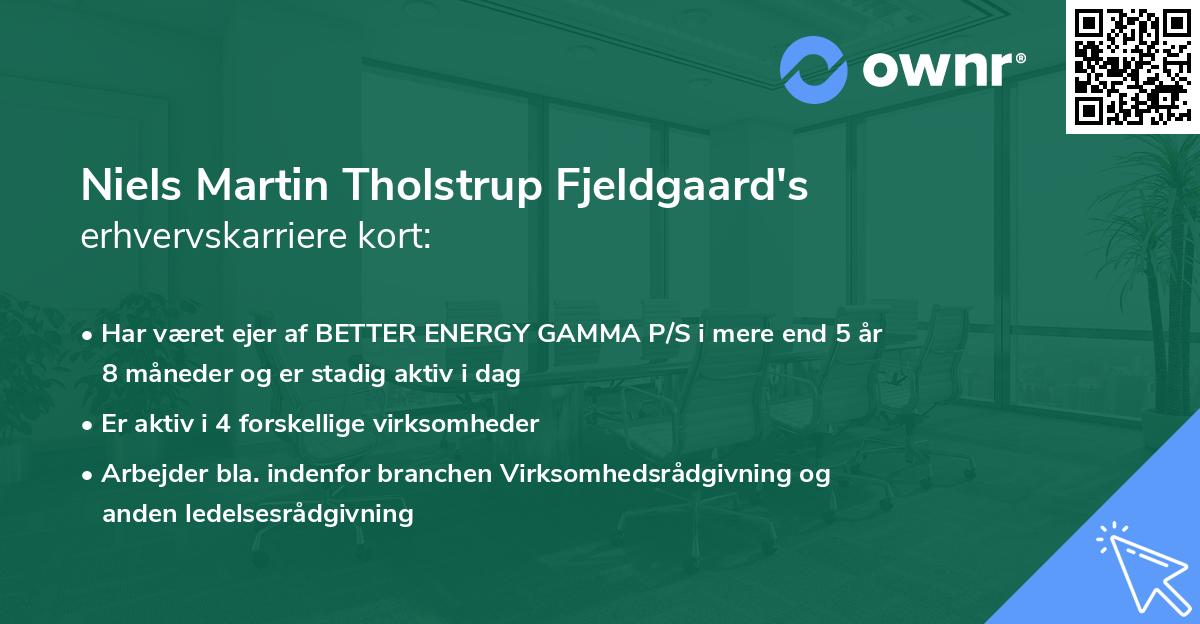 Niels Martin Tholstrup Fjeldgaard's erhvervskarriere kort