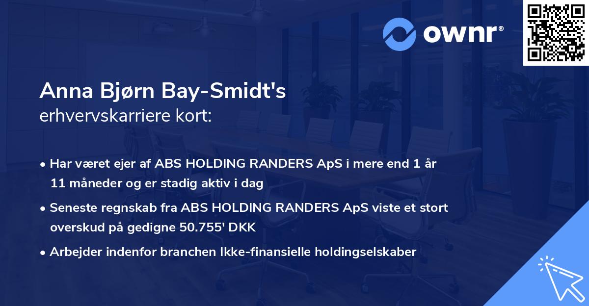 Anna Bjørn Bay-Smidt's erhvervskarriere kort