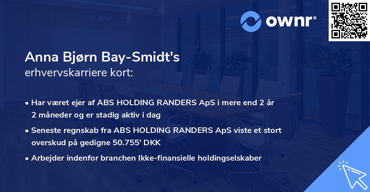 Anna Bjørn Bay-Smidt's erhvervskarriere kort