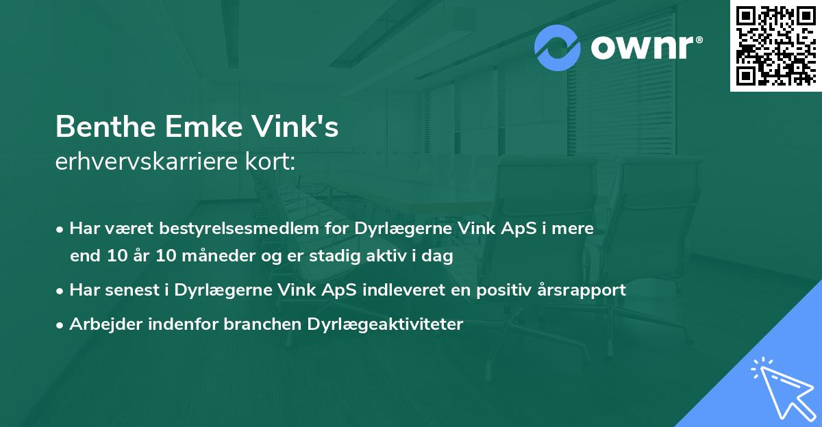Benthe Emke Vink's erhvervskarriere kort