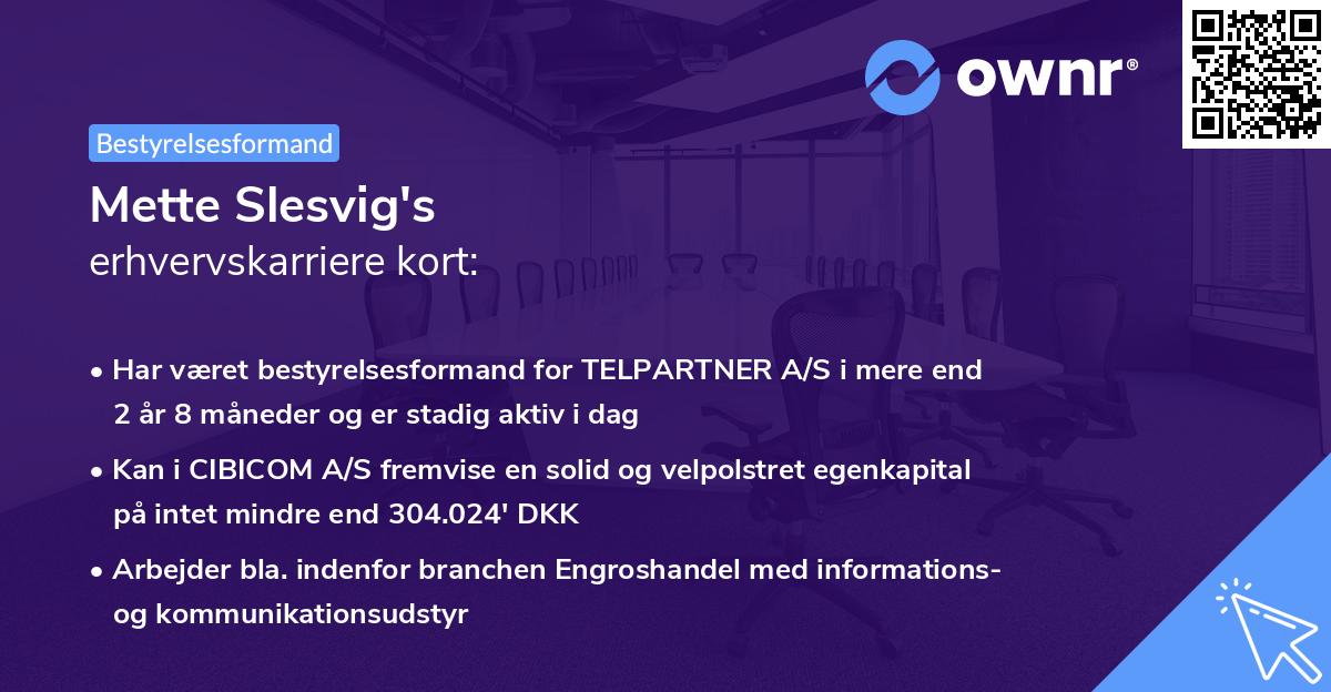 Mette Slesvig's erhvervskarriere kort