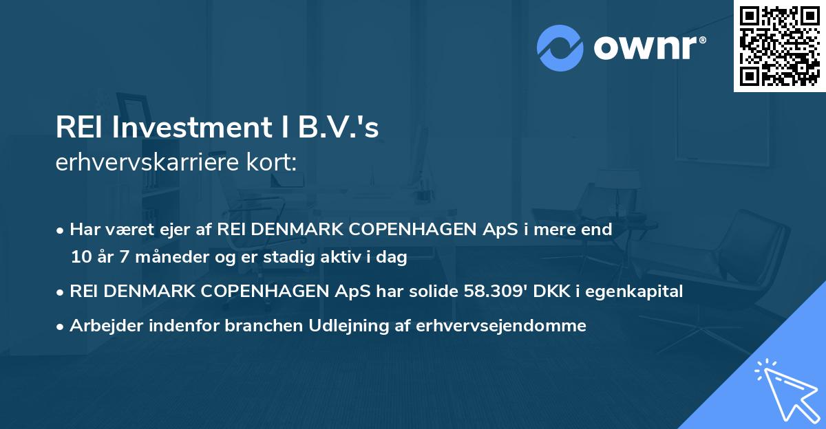 REI Investment I B.V.'s erhvervskarriere kort