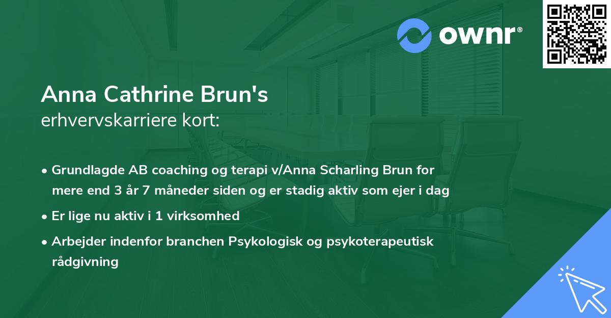 Anna Cathrine Brun's erhvervskarriere kort
