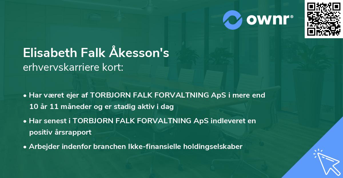 Elisabeth Falk Åkesson's erhvervskarriere kort