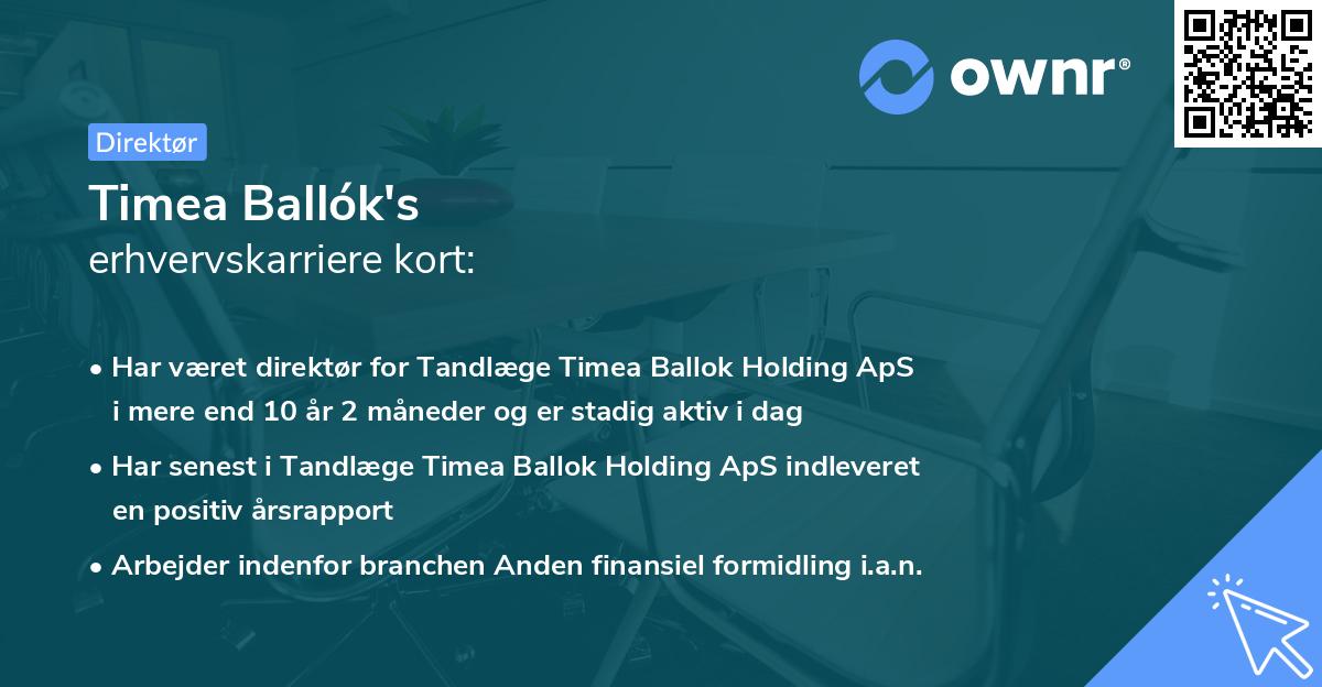 Timea Ballók's erhvervskarriere kort