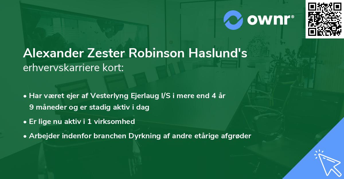Alexander Zester Robinson Haslund's erhvervskarriere kort