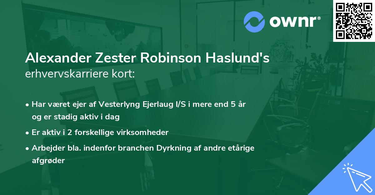 Alexander Zester Robinson Haslund's erhvervskarriere kort