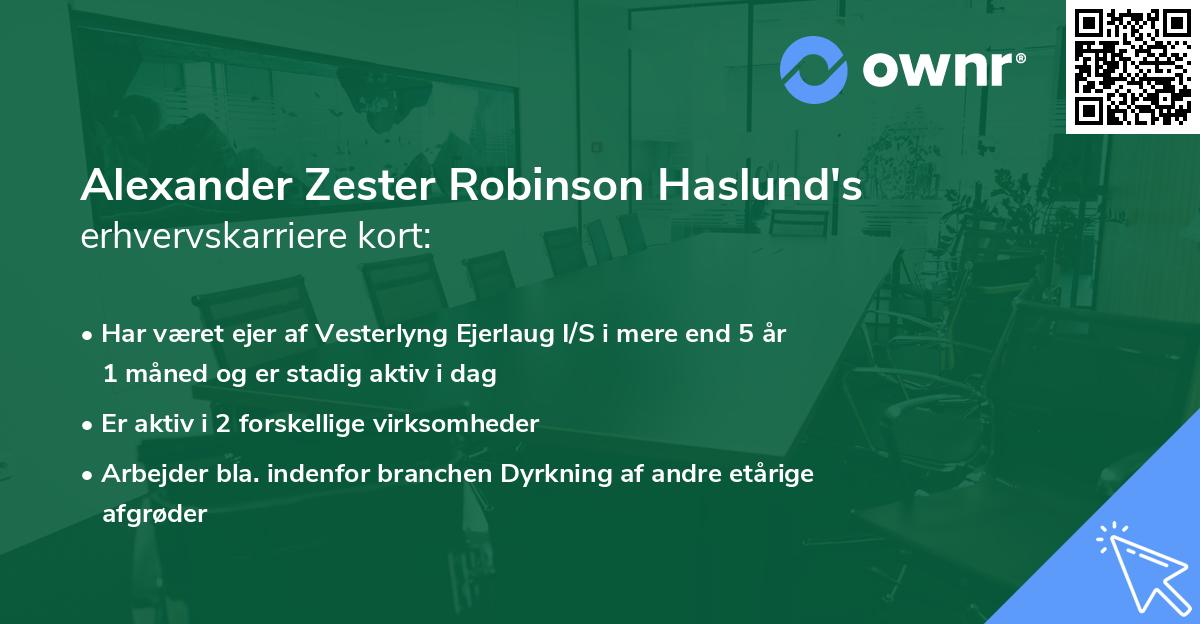 Alexander Zester Robinson Haslund's erhvervskarriere kort