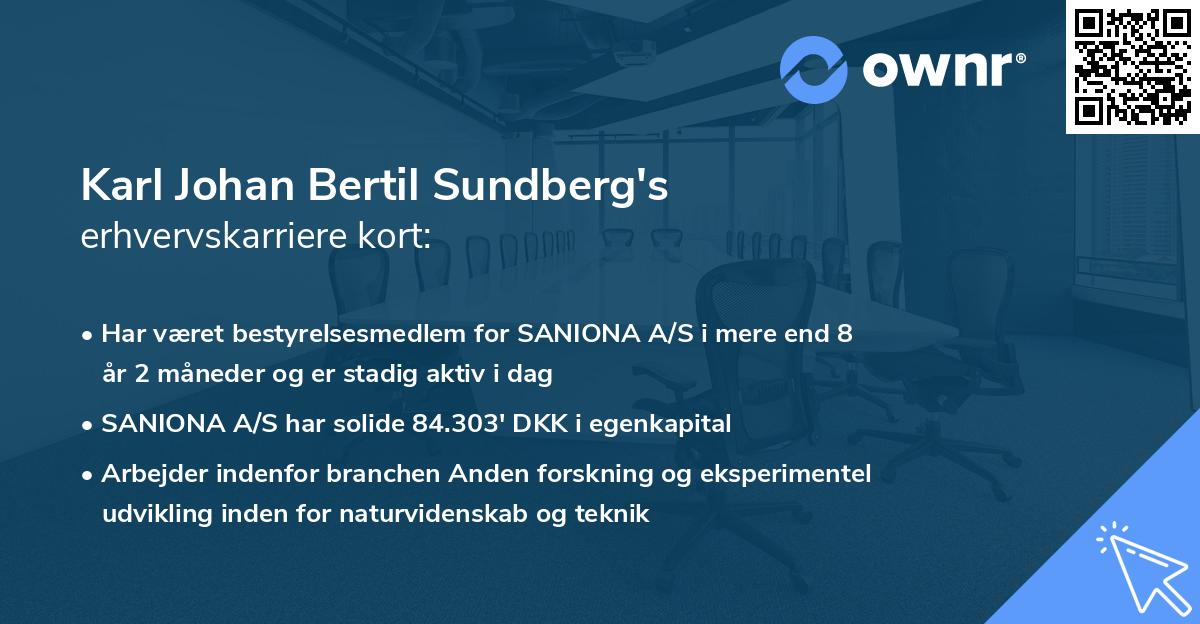 Karl Johan Bertil Sundberg's erhvervskarriere kort