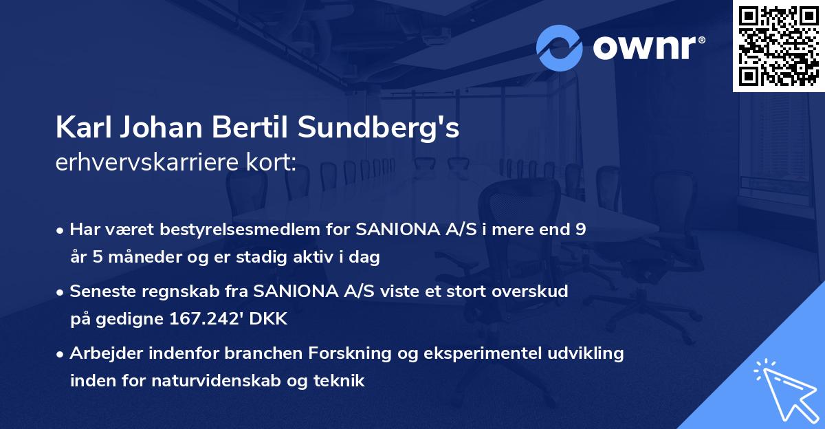 Karl Johan Bertil Sundberg's erhvervskarriere kort