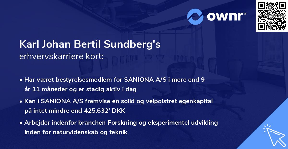 Karl Johan Bertil Sundberg's erhvervskarriere kort
