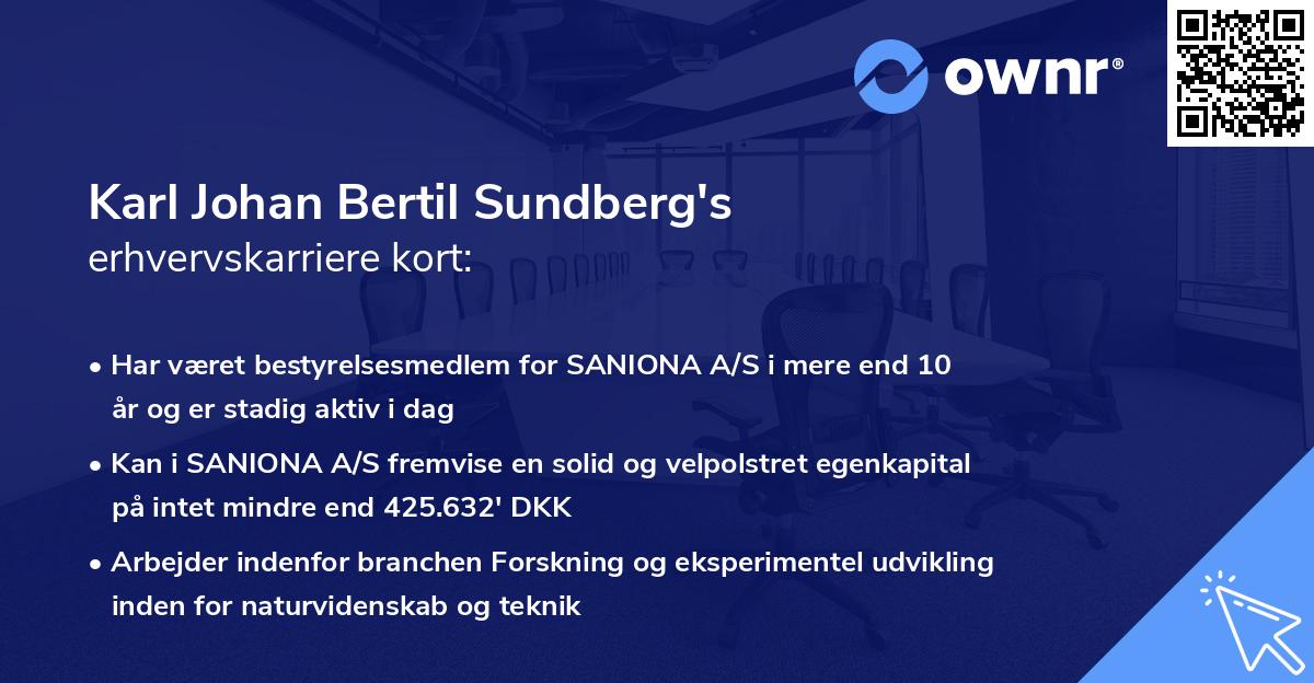 Karl Johan Bertil Sundberg's erhvervskarriere kort
