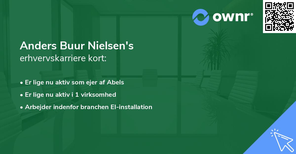 Anders Buur Nielsen's erhvervskarriere kort