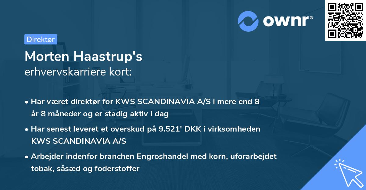 Morten Haastrup's erhvervskarriere kort