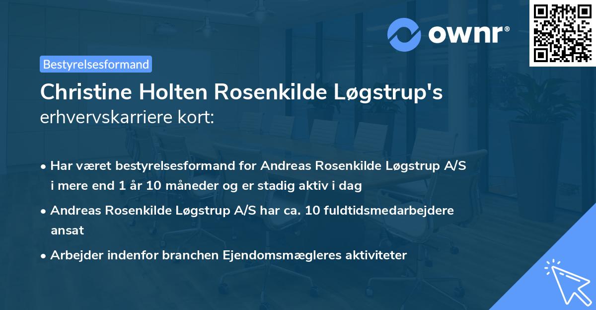Christine Holten Rosenkilde Løgstrup's erhvervskarriere kort