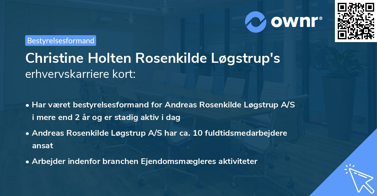 Christine Holten Rosenkilde Løgstrup's erhvervskarriere kort