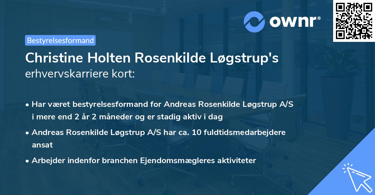Christine Holten Rosenkilde Løgstrup's erhvervskarriere kort