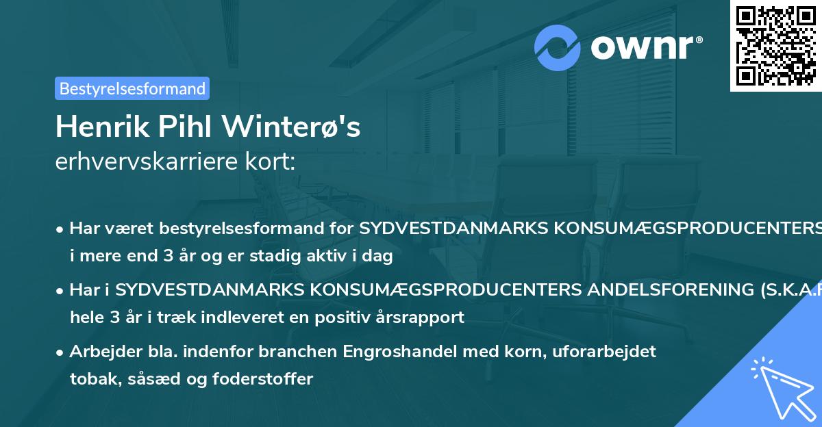 Henrik Pihl Winterø's erhvervskarriere kort